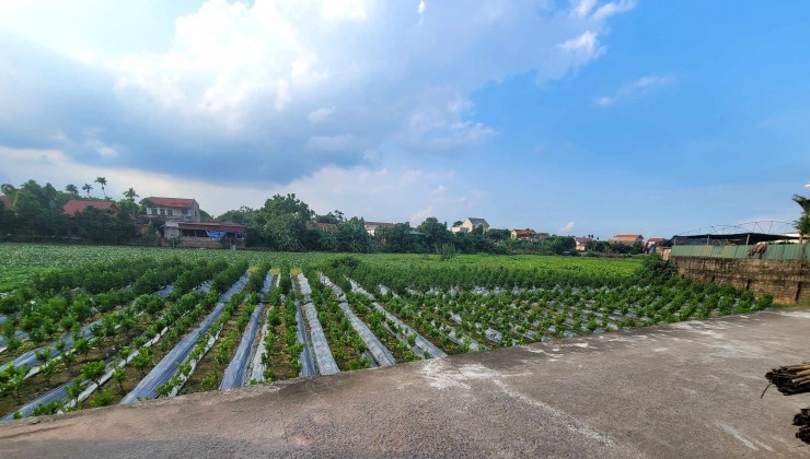 Bán lô đất View sông Đông Tảo diện tích 81m mặt tiền 4.5m đường hơn rộng 5m oto chạy vòng quanh.